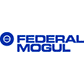 Federal Mogul